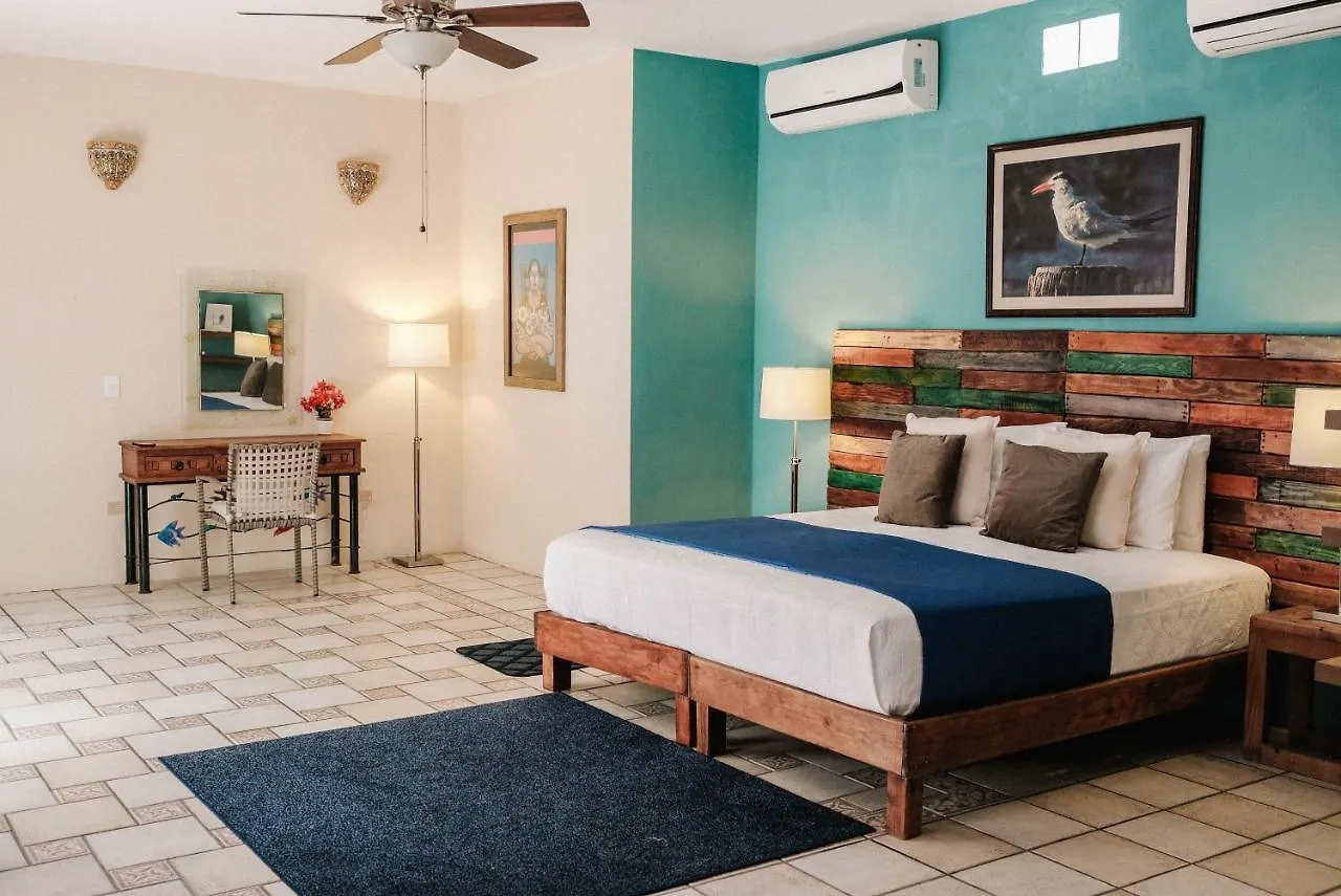 Coco Suites & Breakfast Cozumel Bed & Breakfast