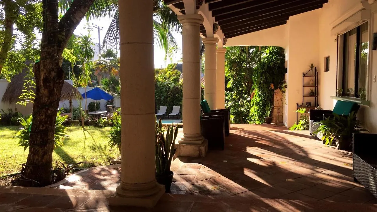 Bed & Breakfast Coco Suites & Breakfast Cozumel