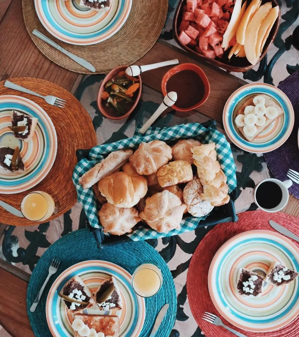 Coco Suites & Breakfast 科苏梅尔 住宿加早餐酒店
